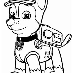 Excellent Paw Patrol Coloring Pages Printable Unique Kids Choose Board