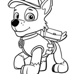 High Quality Printable Rocky Coloring Pages Paw Patrol Com Chase Print Cartoon Kids Colour Book Disney Sheets