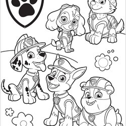 Paw Patrol Coloring Page Free Printable Pages Color Print