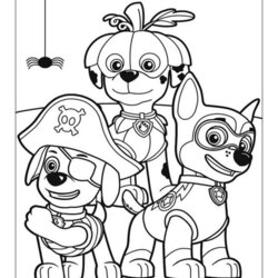 Splendid Paw Patrol Coloring Pages Home Comments