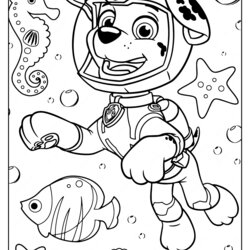 Smashing Printable Paw Patrol Coloring Pages Everest Mighty Pups