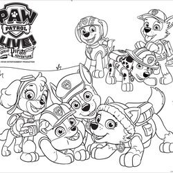 Paw Patrol Coloring Pages Cartoons Color Printable Print