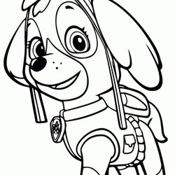 Supreme Get This Paw Patrol Coloring Pages For Preschoolers Skye Colouring Kids Ryder Fit