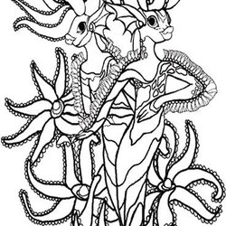 Perfect Under The Sea Creatures Coloring Pages And Free Colouring Pictures To
