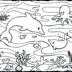 Wonderful Deep Sea Creatures Coloring Pages At Free Printable Ocean Color