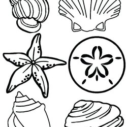 Cool Sea Creatures Coloring Pages At Free Printable Underwater