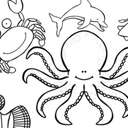 Ocean Creatures Coloring Pages Simple Fun For Kids Sea Animals Sheets Shark Animal Fish Print Cute Butterfly