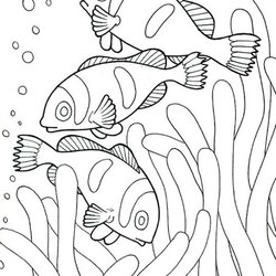 Sea Creature Drawing At Free Download Coloring Pages Animals Printable