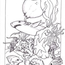 Terrific Free Printable Ocean Coloring Pages For Kids Creatures