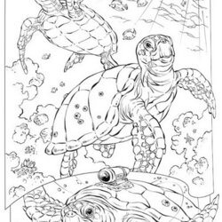 Superior Sea Turtle Coloring Pages Ocean Creatures Printable Com Animals
