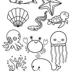 Worthy Ocean Creatures Printable Coloring Page Print At Home