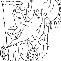 Super Beautiful Sea Animal Coloring Pages On For Adults Animals Ocean Preschool Underwater Printable