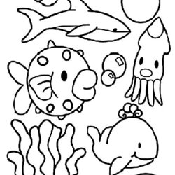 Under The Sea Creatures Coloring Pages And Free Colouring Pictures To Life Animals Ocean Printable Kids