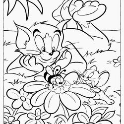 Matchless Free Coloring Pages Cartoon Network Download Kids Sheet Jerry Tom Library