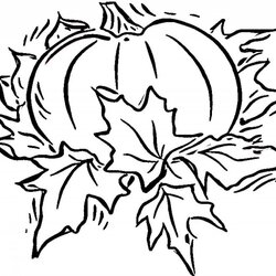 Free Printable Pumpkin Coloring Pages For Kids Print Blank Halloween Fall Drawing Color Sheets Template