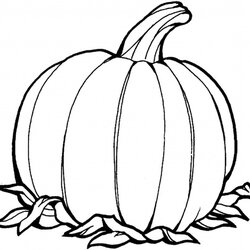 Marvelous Pics Of Pumpkin Coloring Page Templates Home Pumpkins