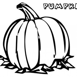 Cool Free Printable Pumpkin Coloring Pages For Kids Print Patch Fall Pumpkins Blank Color Sheets Halloween