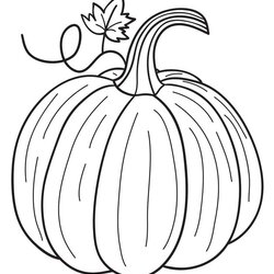 Magnificent Free Printable Fall Coloring Pages Skip To My Lou Realistic Pumpkin Page