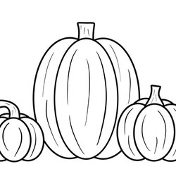Brilliant Free Printable Pumpkin Coloring Pages Sheets Borders Frames Page