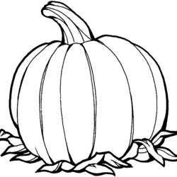 Superior Free Printable Pumpkin Coloring Pages For Kids Pumpkins Color Halloween Fall Book Cartoon