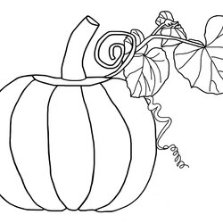 Pin On Fall Pumpkin Coloring Pages Printable Kids Sheet Halloween Leaf Pattern Print Fun Christmas