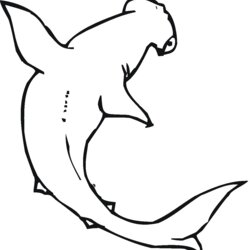 Excellent Free Printable Shark Coloring Pages For Kids Hammerhead