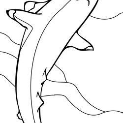 Superior Free Printable Shark Coloring Pages For Kids