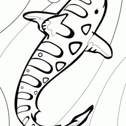 Brilliant Free Shark Coloring Pages To Print Home Leopard Printable Tiger Baby Drawing Kids Sharks Whale