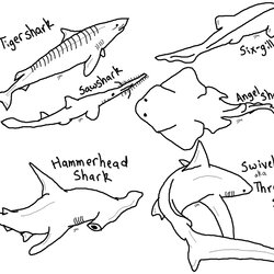 Coloring Pages Shark Free And Printable Hammerhead Print Colouring Thresher Color Tooth Sharks Kids Drawings