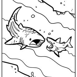 Sublime Shark Coloring Pages Sharks