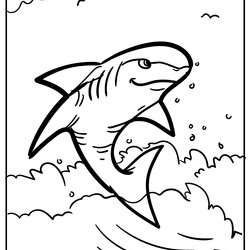 Wonderful Shark Coloring Pages