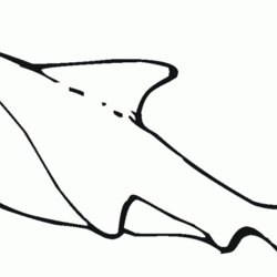Wizard Free Printable Shark Coloring Pages For Kids Sharks