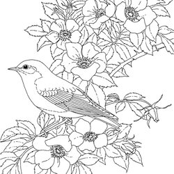 Marvelous Flower Coloring Pages For Adults