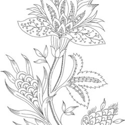 Supreme Flower Coloring Pages For Adults Best Kids