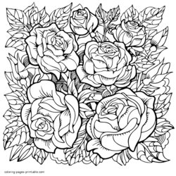 Brilliant Rose Flower Coloring Pages For Grown Up Printable Com Adults Flowers Adult Print People Book Look