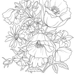 Champion Best Ideas About Flower Coloring Pages On Mandala Adult Printable Flowers Adults Drawing Beautiful
