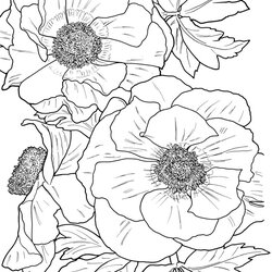Worthy Flower Coloring Pages For Adults Best Kids Printable