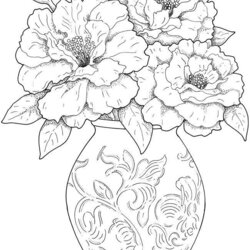 Terrific Color Flowers Flower Coloring Pages Free Printable Adults