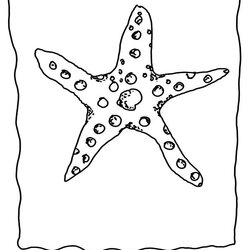 Champion Sea Creatures Coloring Page Home