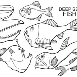 Very Good Sea Creature Templates Coloring Home Deep Creatures Pages Fish Animal Color Ocean Printable Kids