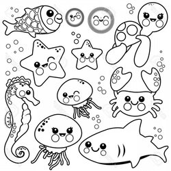 Terrific Ocean Animals Coloring Pages Beautiful Books Sea Creatures Narwhal Algebra Aids