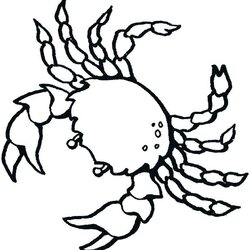 Sea Creatures Coloring Pages At Free Printable Creature