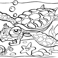 Marvelous Printable Sea Creatures Coloring Home Pages Animals Popular