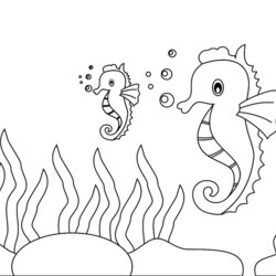 Superb Sea Creatures Coloring Pages Fish Dolphins Sharks Other Marine Kids Life Print Themed Mom Tip