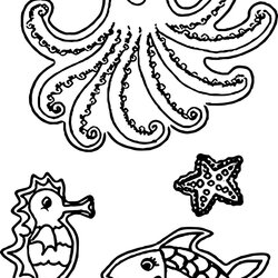 Wizard Nice Sea Creatures Coloring Page Creature Pages Clear Animals Deep