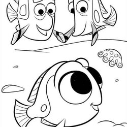 Outstanding Dory Coloring Pages Best For Kids Finding Page Free