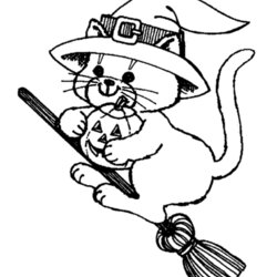 Terrific Halloween Witch Coloring Pages Cat On Broom Witches Drawing Print Costumes Popular