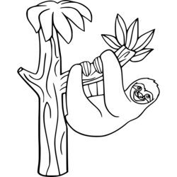 Super Cartoon Sloth Coloring Pages Sid Toed