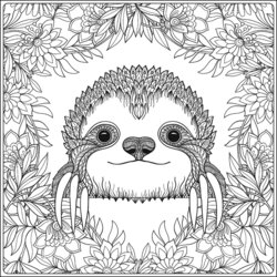 Superb Sloth Coloring Pages Free Printable Of Sloths To Help Book Adult Forest Vector Older Children Print