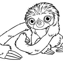 Magnificent Pin On Animal Coloring Pages Sloth Toed Sloths Sheets